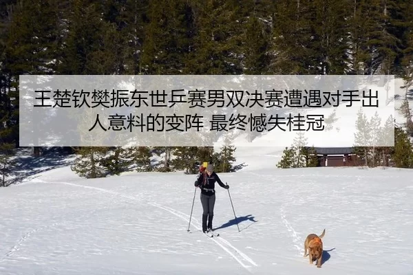 王楚钦樊振东世乒赛男双决赛遭遇对手出人意料的变阵 最终憾失桂冠 - XINGCAISPORTS